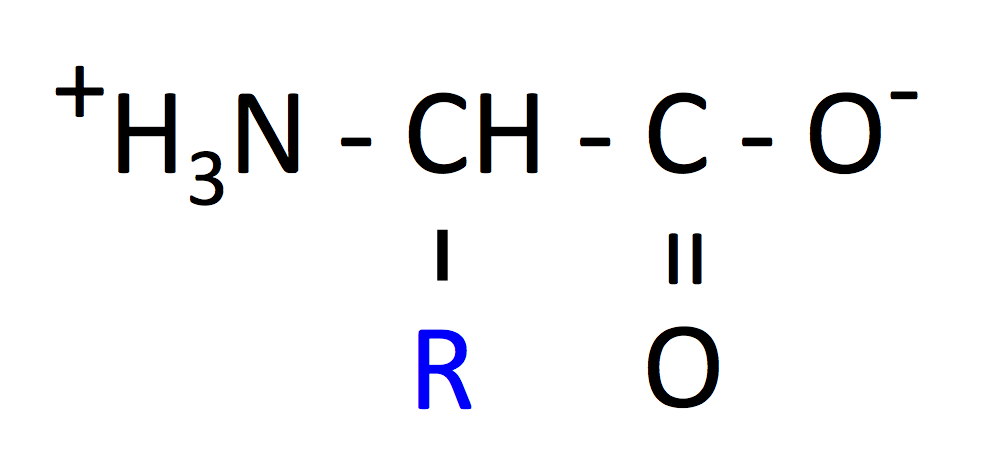 アミノ酸の一般式