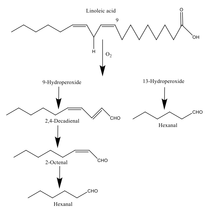 リノール酸の自動酸化