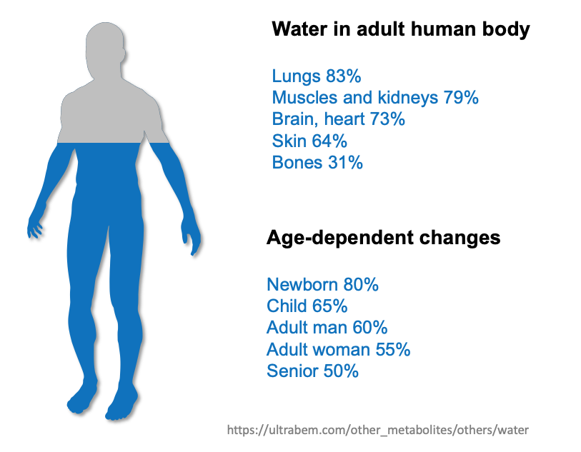 人間の体は約60%が水である