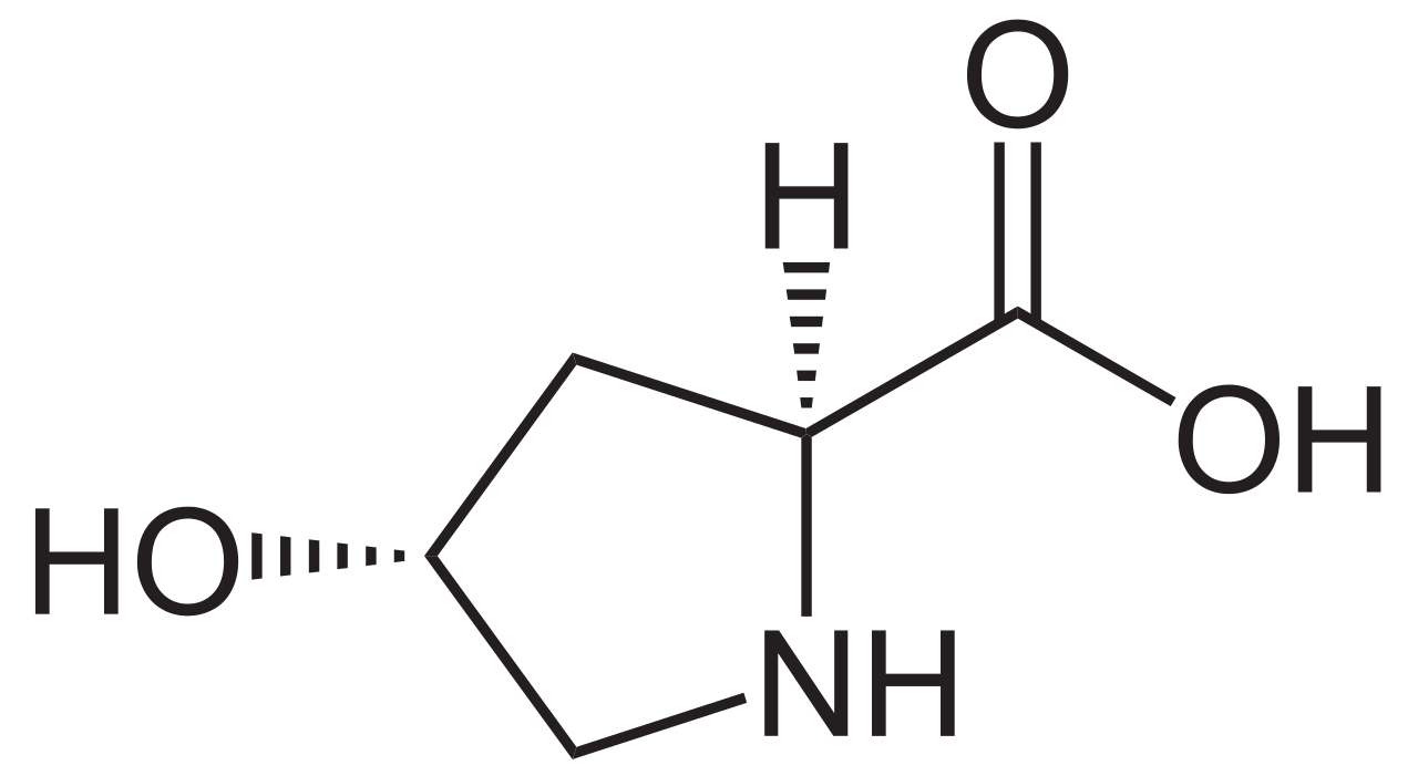ヒドロキシプロリンの構造