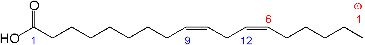 リノール酸の構造
