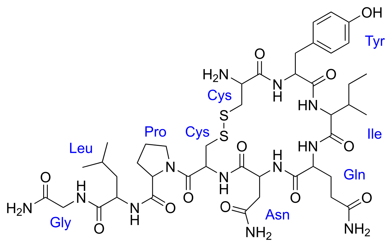 オキシトシンの構造