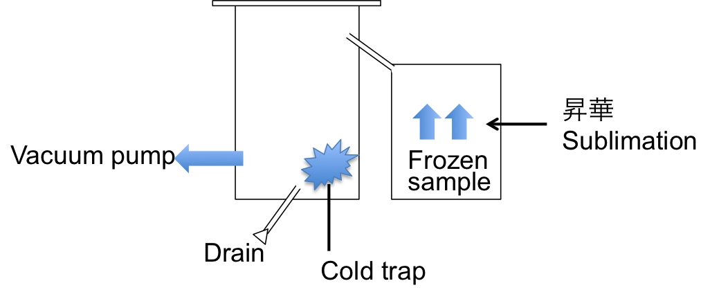 凍結乾燥機 Lyophilizer の構造