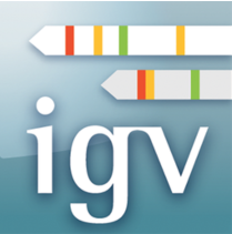 igvロゴ