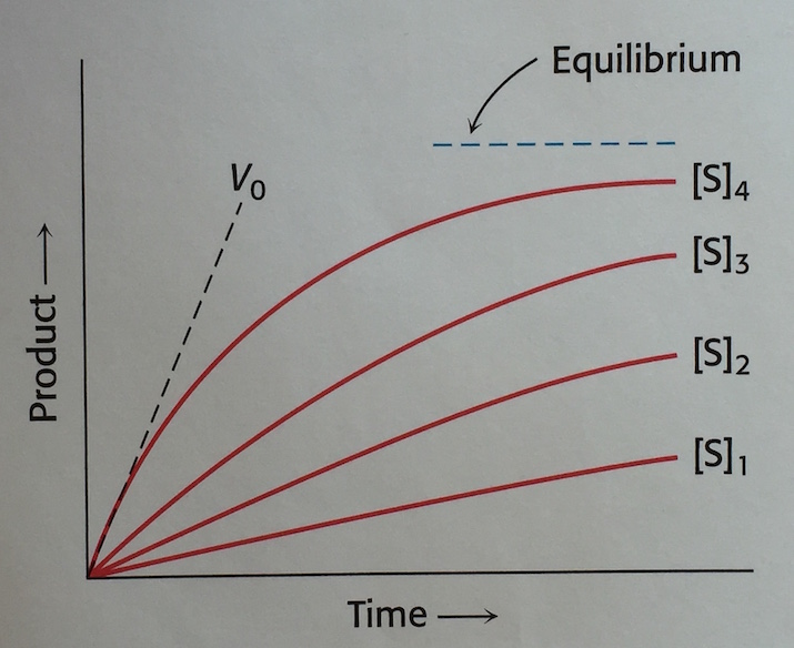 ミカエリス・メンテン 基質濃度と時間の関係