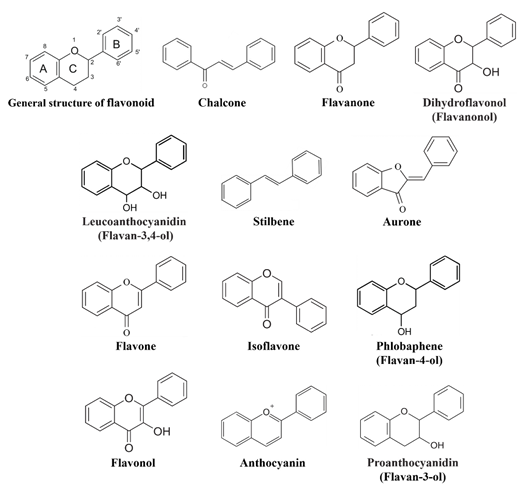 フラボノイドの構造