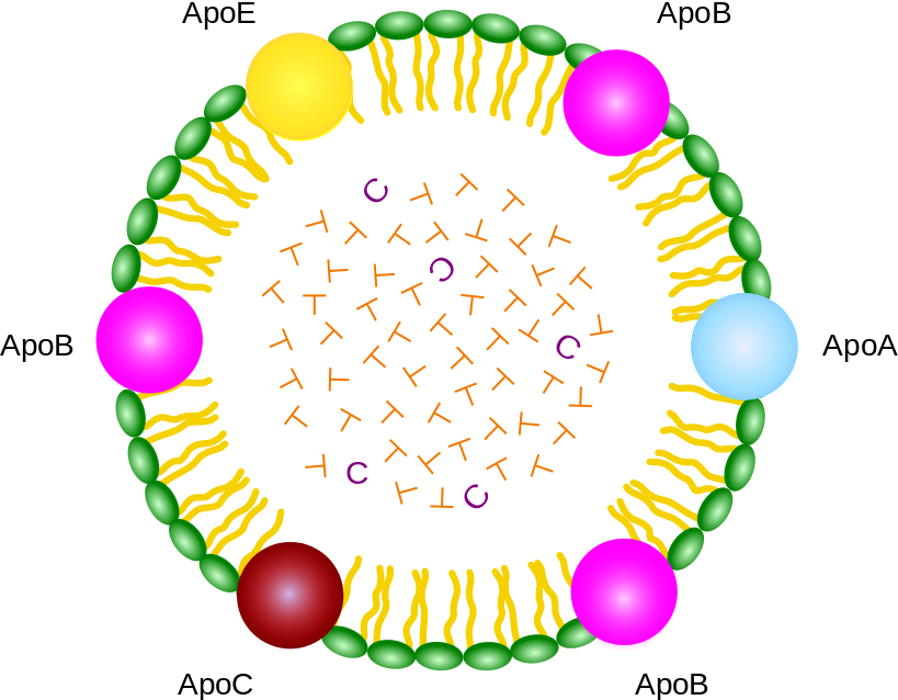 リポタンパク質 キロミクロンの模式図