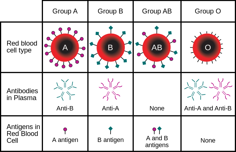 ABO式血液型と表面抗原