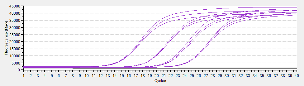 リアルタイムPCRの増幅曲線