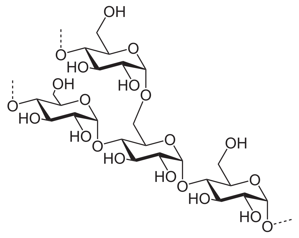 デンプン・アミロペクチンの構造
