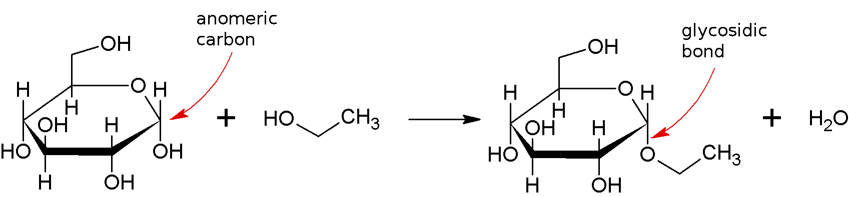 グリコシド結合の形成