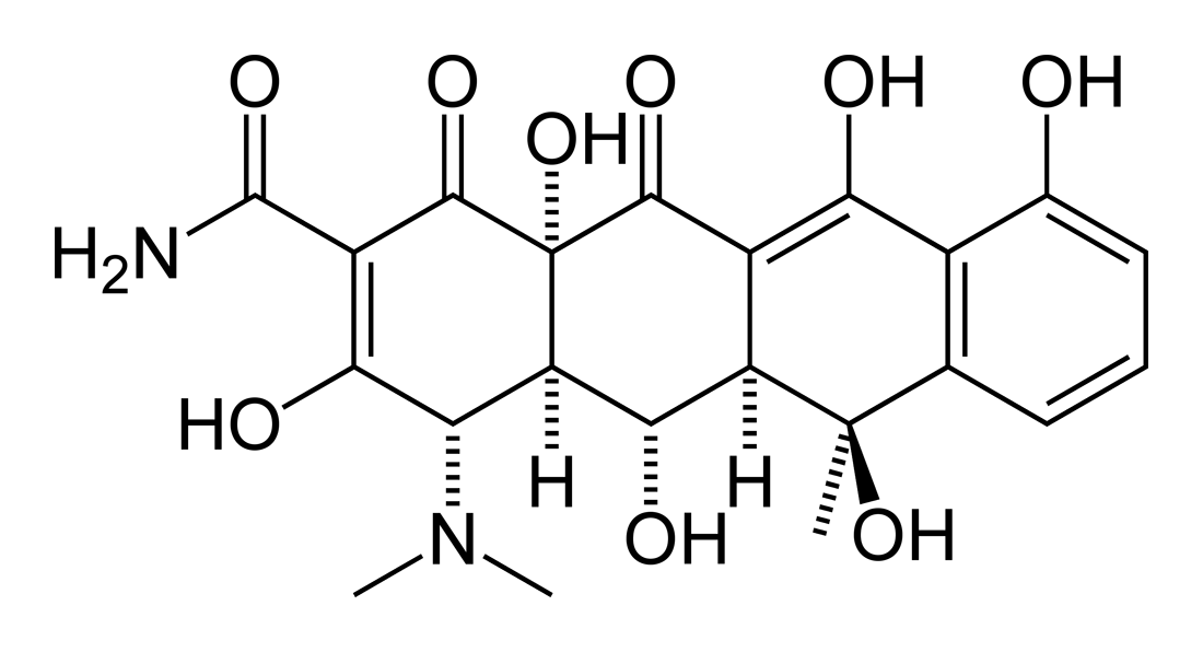 オキシテトラサイクリンの構造