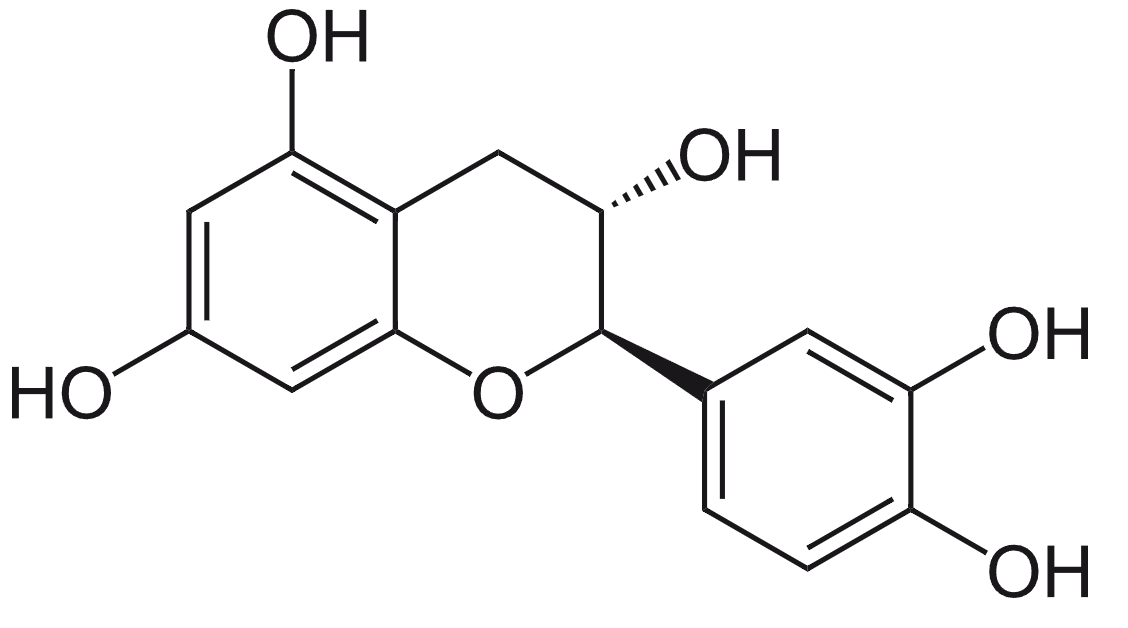 (+)-カテキンの構造